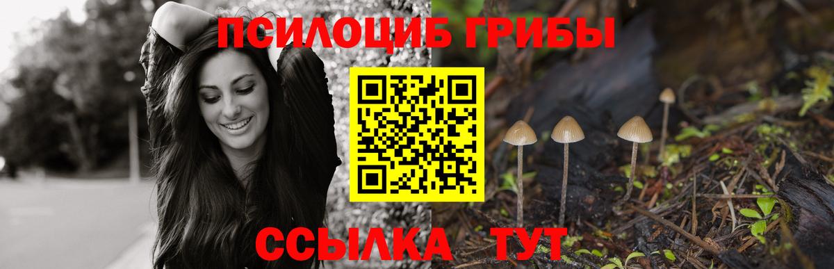 Псилоцибиновые грибы Psilocybe  Вход с VPN  Новороссийск 